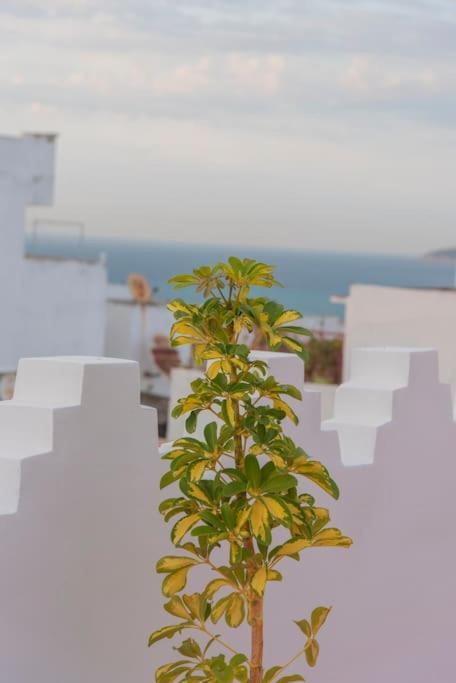 Dar Louban House In Tangier Kasbah 아파트 외부 사진